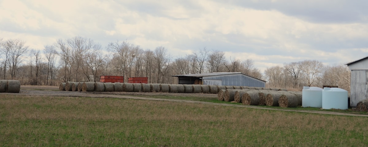 Balanced feed ingredients and nutritional components